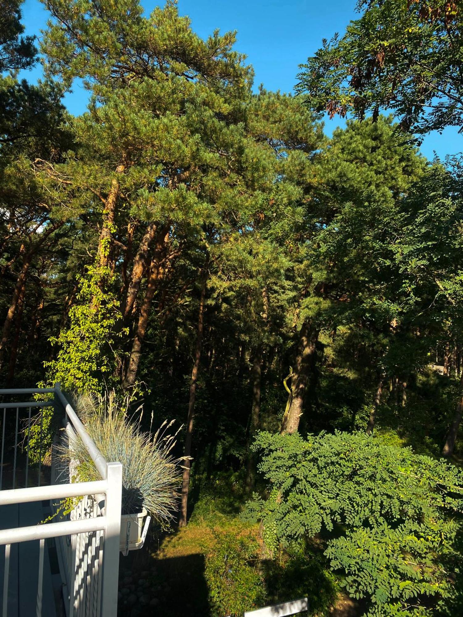 Orbisa Pokoje I Apartamenty Łeba Esterno foto